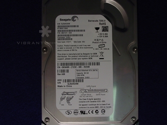 Dell ST3808110AS-1