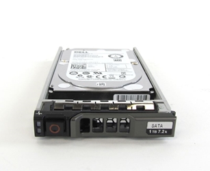 Dell ST91000640NS-DELL